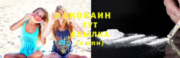 сатива Гусиноозёрск