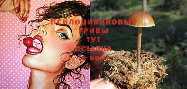 сатива Гусиноозёрск