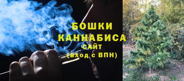 бутират Гусь-Хрустальный