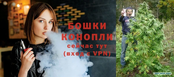 сатива Гусиноозёрск
