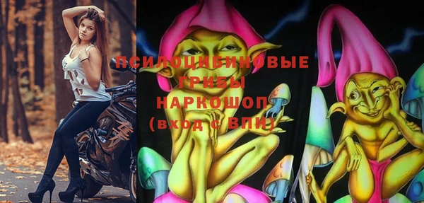 сатива Гусиноозёрск
