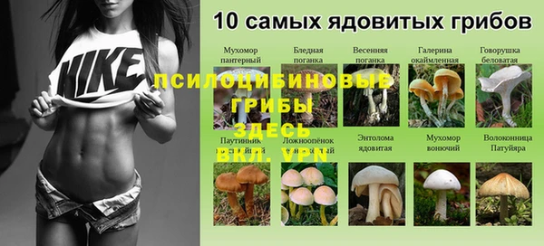 mdma Гусев