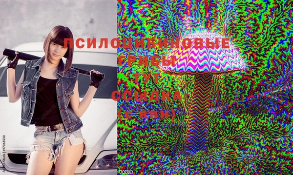 mdma Гусев